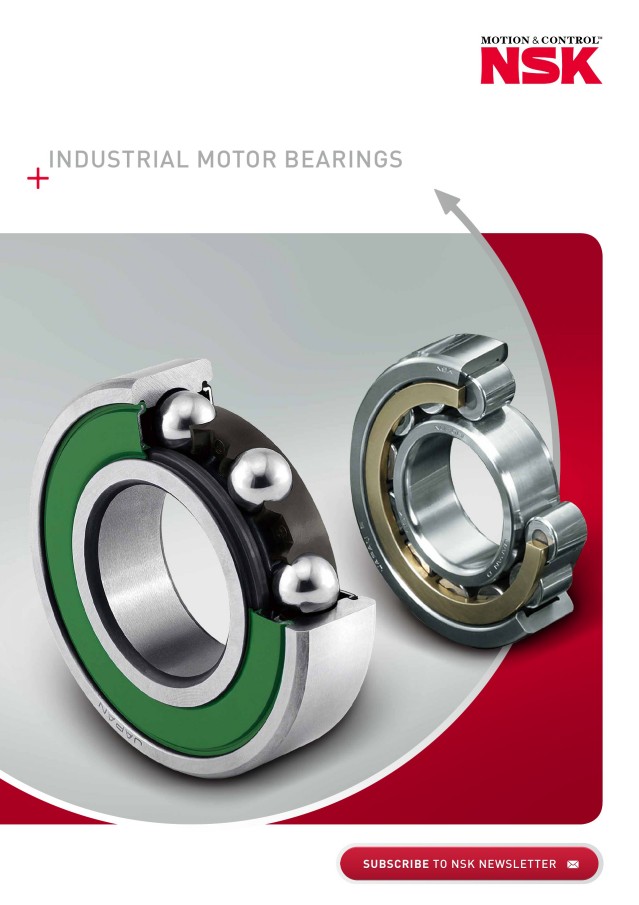 Industrial Motor Bearings