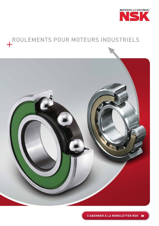 Roulements pour Moteurs Industriels