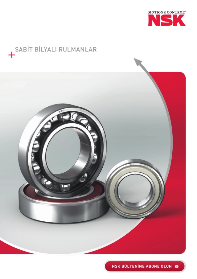 Sabit Bilyalı Rulmanlar